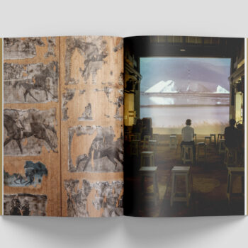 Tim Davis, Hallucinations - immagine 8